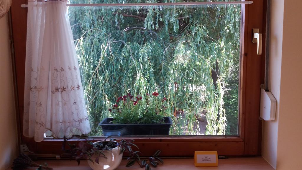 Pongracz Apartman ジルク エクステリア 写真